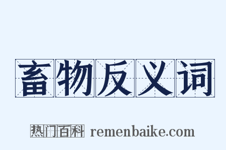 畜物反义词是什么意思的图片